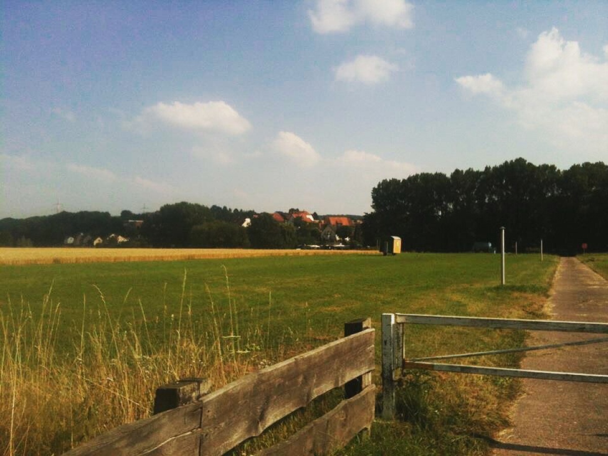 Bild zum Blogartikel